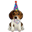 Birthday Puppy 37"