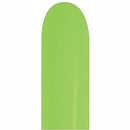 Sempertex Balloons 260S Neon Green Entertainer 50pc.